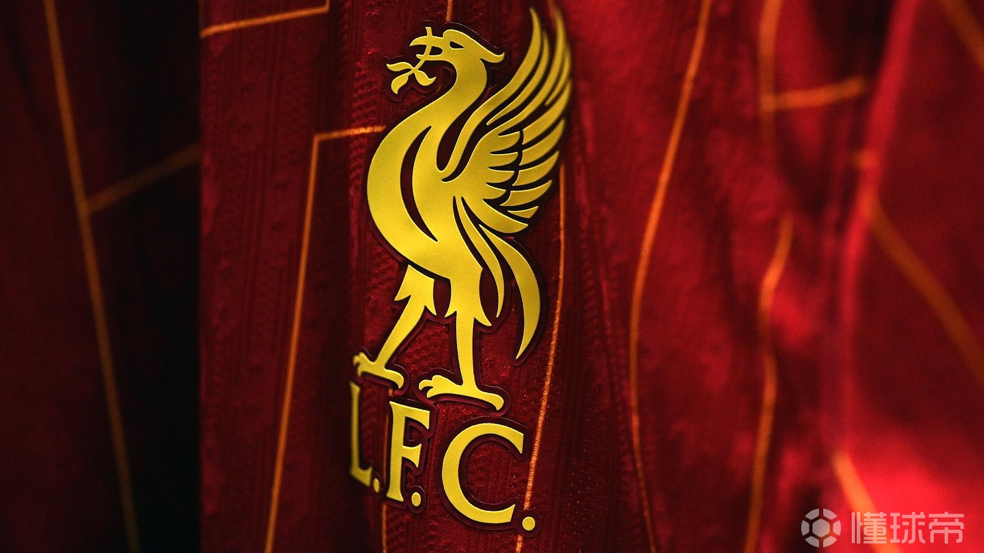 篮球CBA球队训练营全员参与（CBA球队训练营全员参加）